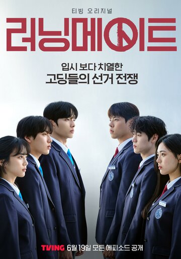 Напарник на выборах